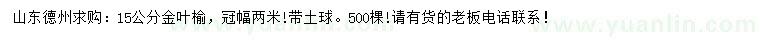求購15公分金葉榆