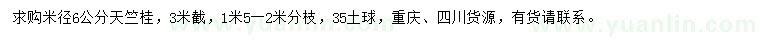 求購米徑6公分天竺桂