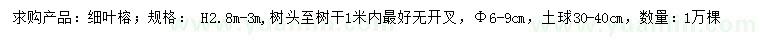 求購(gòu)高2.8-3米細(xì)葉榕