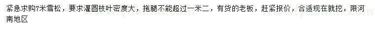 求購7米雪松
