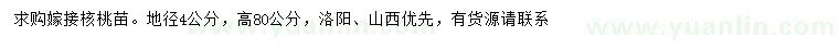 求購地徑4公分嫁接核桃苗
