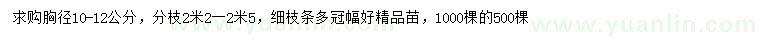 求購胸徑10-12公分櫸樹