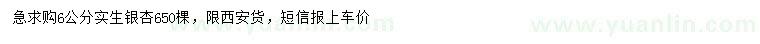 求購6公分實生銀杏