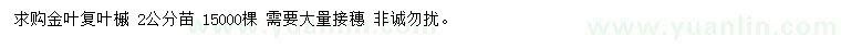 求購2公分金葉復(fù)葉槭