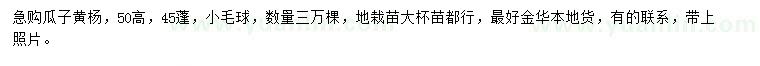 求購高50公分黃楊