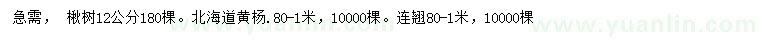 求購(gòu)楸樹(shù)、北海道黃楊、連翹