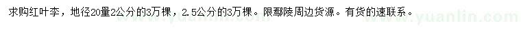求購地徑20量2、2.5公分紅葉李
