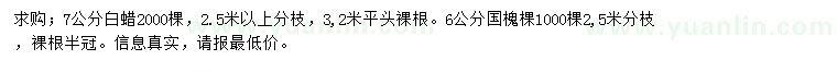 求購7公分白蠟、6公分國槐