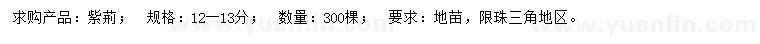 求購12-13公分紫荊
