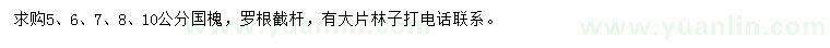 求購5、6、7、8、10公分國槐