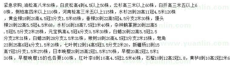 求購油松、白皮松、云杉等