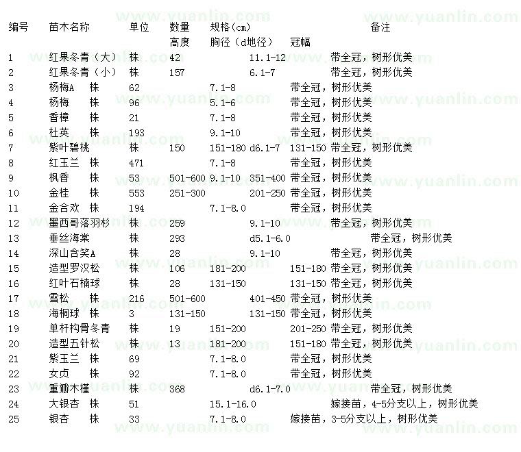 求購(gòu)紅果冬青、楊梅、香樟等