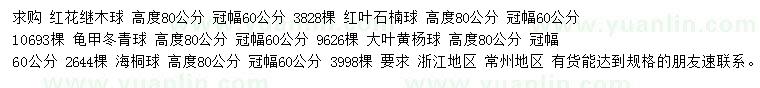 求購紅葉石楠球、紅花繼木球、海桐球等