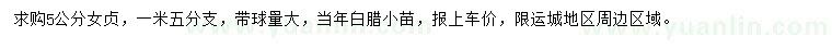 求購(gòu)5公分女貞、當(dāng)年白臘小苗