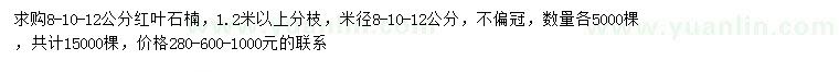 求購8、10、12公分紅葉石楠
