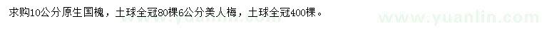 求購10公分原生國槐、6公分美人梅