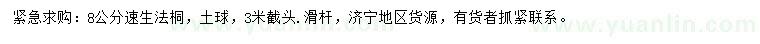 求購8公分速生法桐