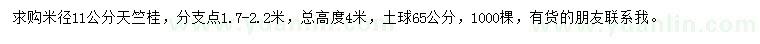 求購米徑11公分天竺桂