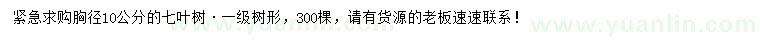 求購胸徑10公分七葉樹
