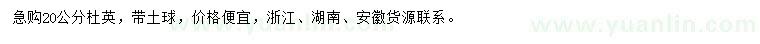 求購20公分杜英