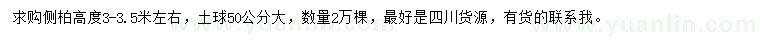 求購高3-3.5米側(cè)柏