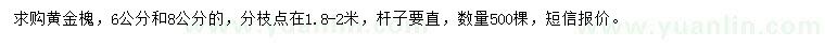 求購6、8公分黃金槐