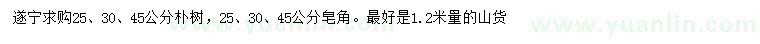 求購1.2米量25、30、45公分樸樹、皂角