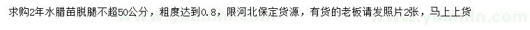 求購2年水臘苗