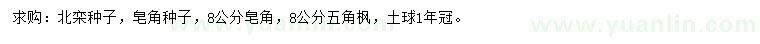 求購北欒種子、皂角種子、五角楓