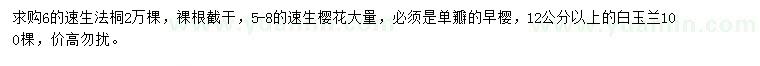 求購速生法桐、速生櫻花、白玉蘭