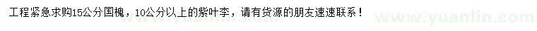 求購15公分國槐、10公分以上紫葉李