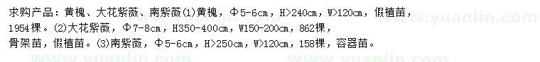 求購(gòu)黃槐、大花紫薇、南紫薇