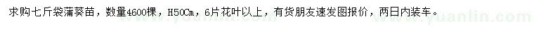 求購高50公分蒲葵
