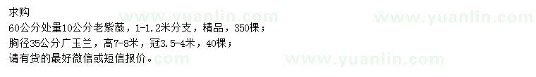 求購(gòu)60公分處量10公分老紫薇、胸徑35公分廣玉蘭