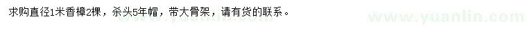 求購直徑1米香樟