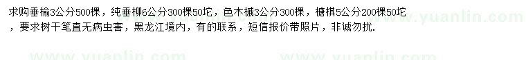 求購垂榆、純垂柳、色木槭等