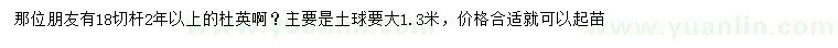 求購18公分杜英