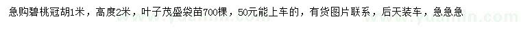 求購(gòu)高2米碧桃