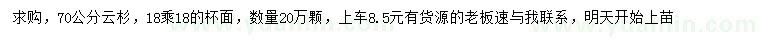 求購(gòu)70公分云杉