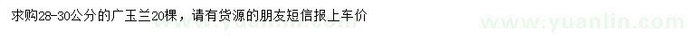 求購28-30公分廣玉蘭