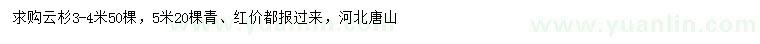 求購3-4、5米云杉