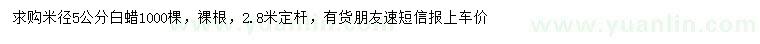 求購米徑5公分白蠟