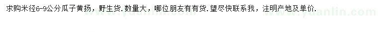求購米徑6-9公分瓜子黃楊