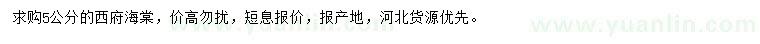 求購5公分西府海棠