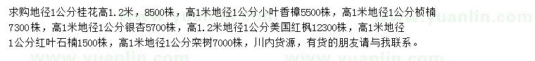 求購桂花、小葉香樟、楨楠等