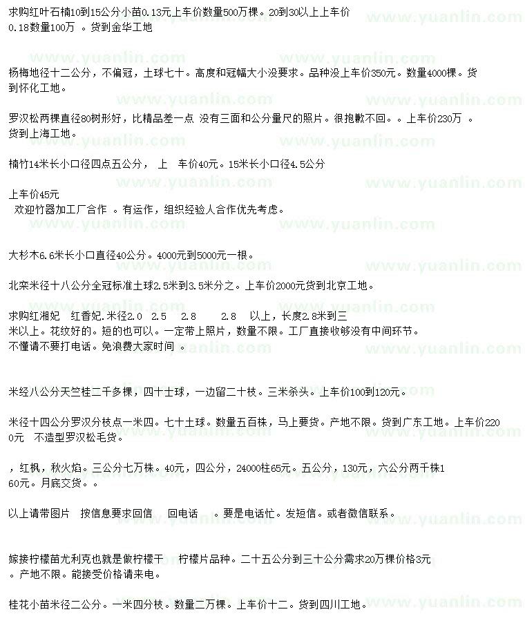 求購紅葉石楠、楊梅、羅漢松等