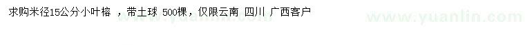 求購米徑15公分小葉榕