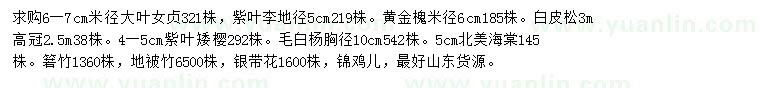 求購(gòu)大葉女貞、紫葉李、黃金槐等