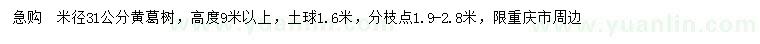 求購(gòu)米徑31公分黃葛樹