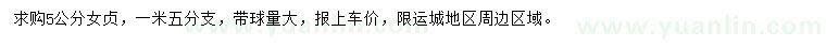 求購5公分女貞